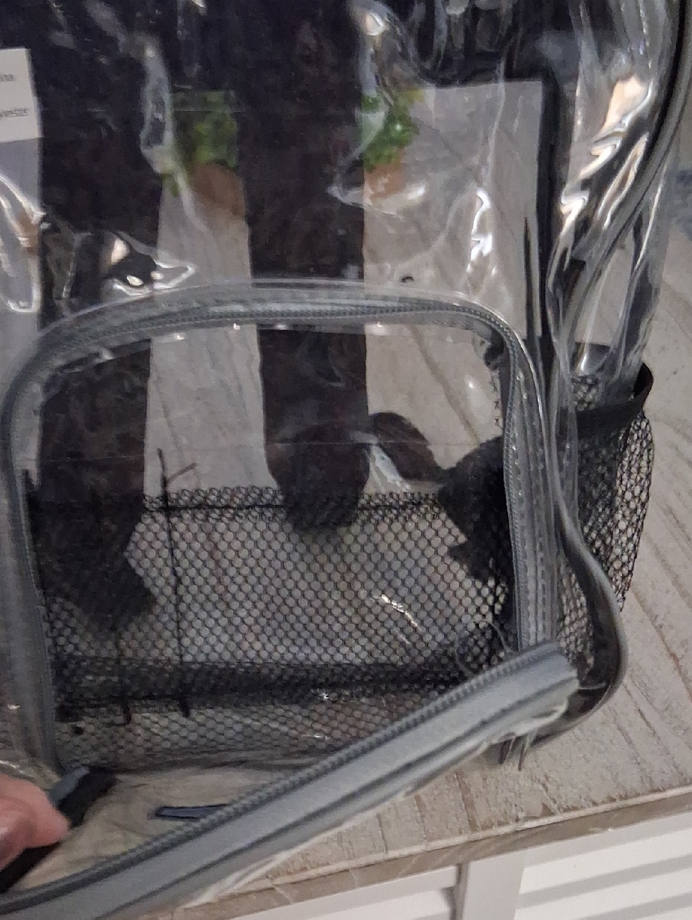 Clear Transparent Backpack with Black Trim - Picture 7 of 9
